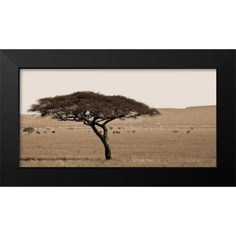 Serengeti Horizons I Black Modern Wood Framed Art Print by Maihara/Watt, Jeff/Boyce