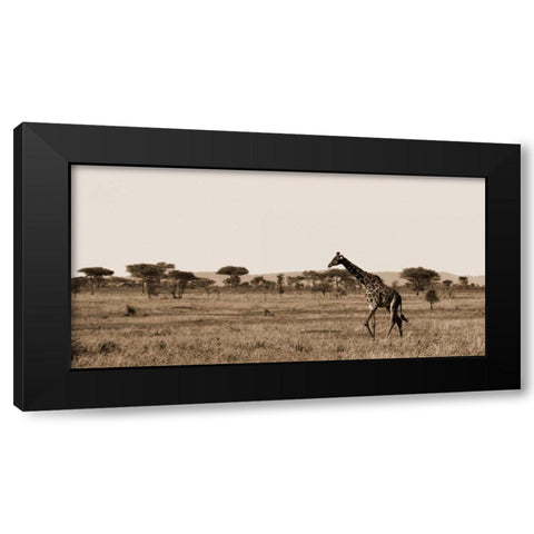 Serengeti Horizons II Black Modern Wood Framed Art Print by Maihara/Watt, Jeff/Boyce