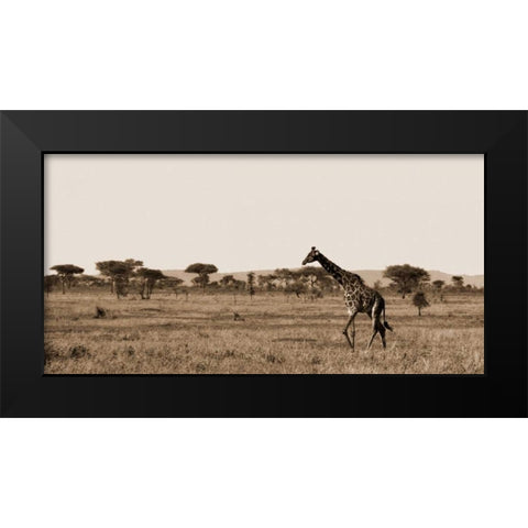 Serengeti Horizons II Black Modern Wood Framed Art Print by Maihara/Watt, Jeff/Boyce