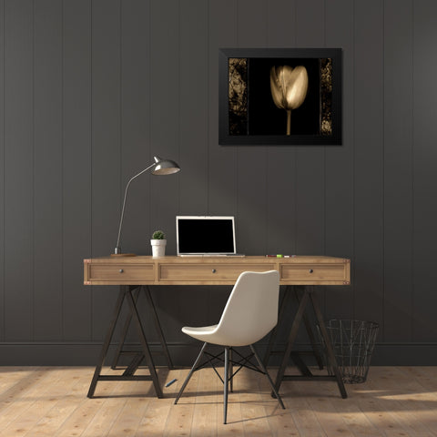 White Tulipa II Black Modern Wood Framed Art Print by Filler, Rick
