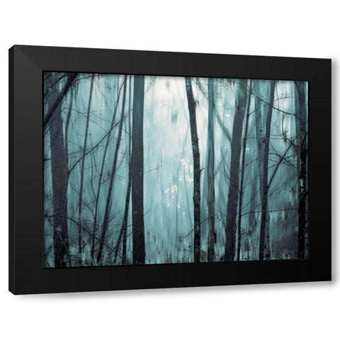 Spring Mist I Black Modern Wood Framed Art Print with Double Matting by Pelkey, Marvin