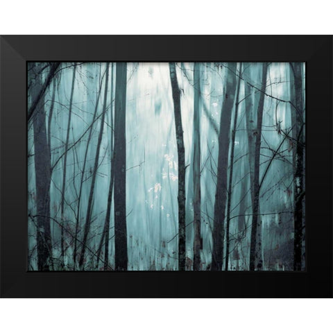 Spring Mist I Black Modern Wood Framed Art Print by Pelkey, Marvin