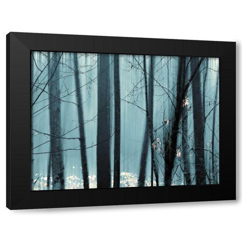 Spring Mist II Black Modern Wood Framed Art Print with Double Matting by Pelkey, Marvin