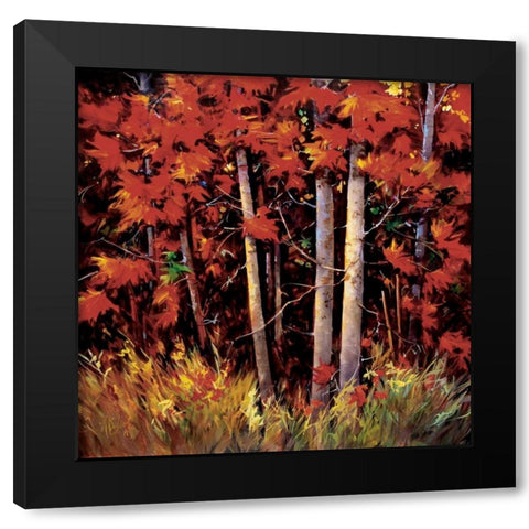 Reds Black Modern Wood Framed Art Print by OToole, Nancy