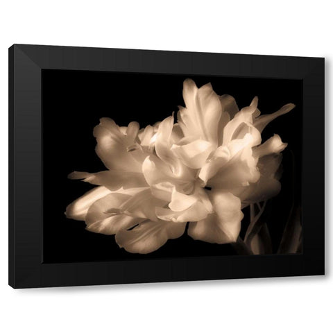 Double Dappled I Black Modern Wood Framed Art Print by Britt, Charles