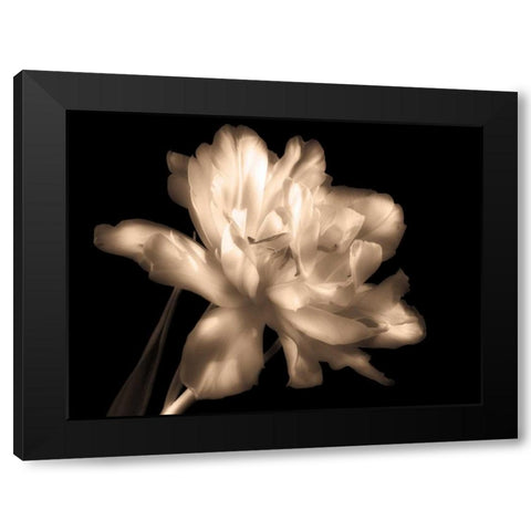 Double Dappled II Black Modern Wood Framed Art Print by Britt, Charles