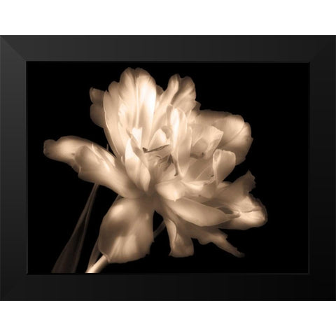 Double Dappled II Black Modern Wood Framed Art Print by Britt, Charles