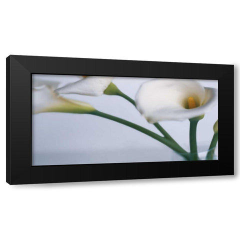 Springplicity I Black Modern Wood Framed Art Print by Ryan, Cinzia