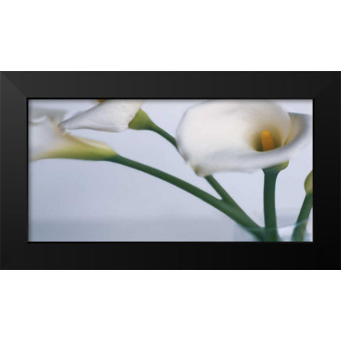 Springplicity I Black Modern Wood Framed Art Print by Ryan, Cinzia