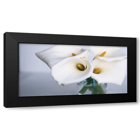 Springplicity II Black Modern Wood Framed Art Print with Double Matting by Ryan, Cinzia