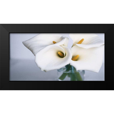 Springplicity II Black Modern Wood Framed Art Print by Ryan, Cinzia
