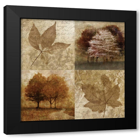 Arcadian Grove I Black Modern Wood Framed Art Print by Mallett, Keith