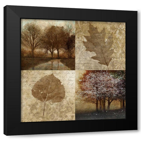 Arcadian Grove II Black Modern Wood Framed Art Print by Mallett, Keith