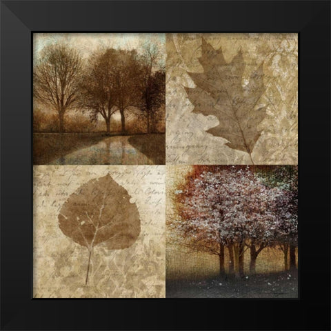Arcadian Grove II Black Modern Wood Framed Art Print by Mallett, Keith