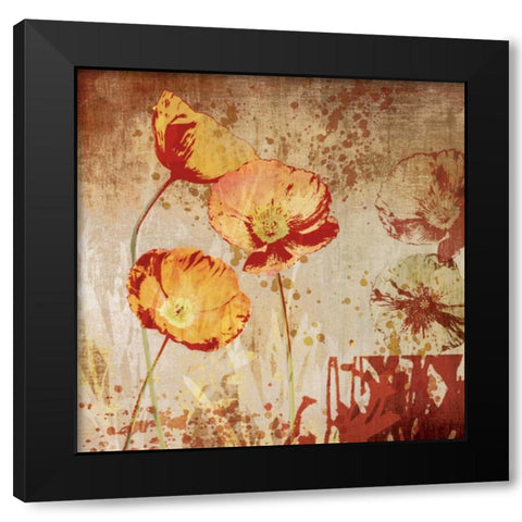 Poppy Heat II Black Modern Wood Framed Art Print with Double Matting by Venter, Tandi