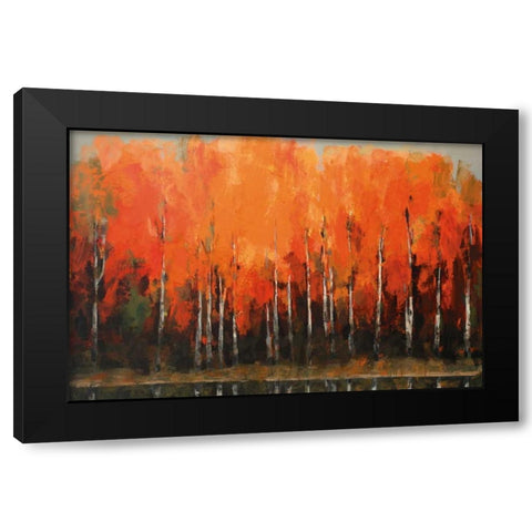 Birch Shoreline Black Modern Wood Framed Art Print with Double Matting by Colbert , Peter