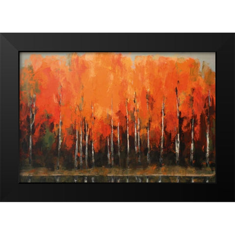 Birch Shoreline Black Modern Wood Framed Art Print by Colbert , Peter