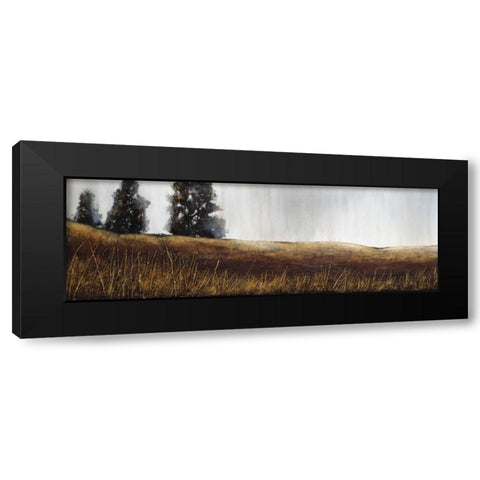 Summer Lights Black Modern Wood Framed Art Print with Double Matting by St.Germain, Patrick