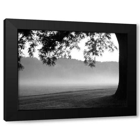 Fog in the Park I Black Modern Wood Framed Art Print with Double Matting by Bydlo, Gary