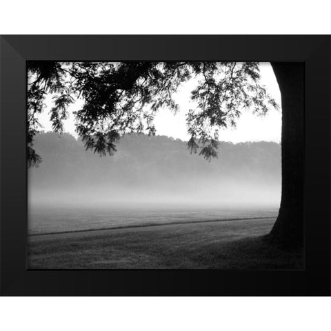 Fog in the Park I Black Modern Wood Framed Art Print by Bydlo, Gary