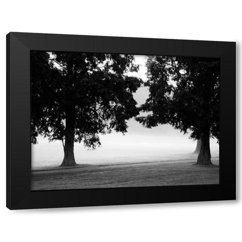 Fog in the Park II Black Modern Wood Framed Art Print with Double Matting by Bydlo, Gary