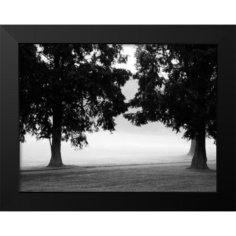 Fog in the Park II Black Modern Wood Framed Art Print by Bydlo, Gary