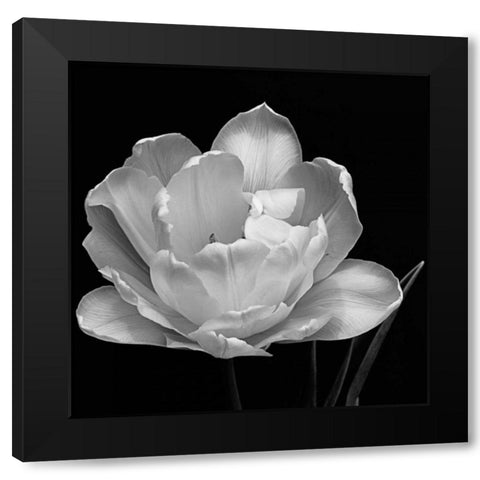 Summers Comfort Black Modern Wood Framed Art Print by Britt, Charles