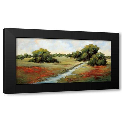 Kissimmee Grasslands Black Modern Wood Framed Art Print by Baynes, Maija