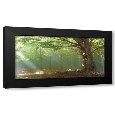 Lights Black Modern Wood Framed Art Print by Vila , Toni
