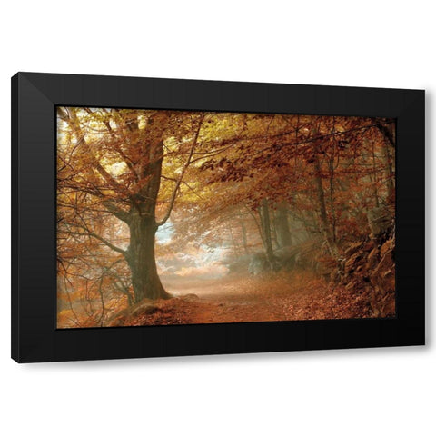 Autumn Dream Black Modern Wood Framed Art Print by Vila , Toni