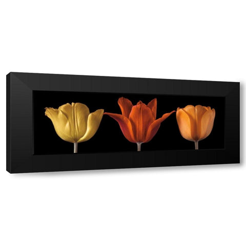 Sunshine Stance Black Modern Wood Framed Art Print by Frank, Assaf