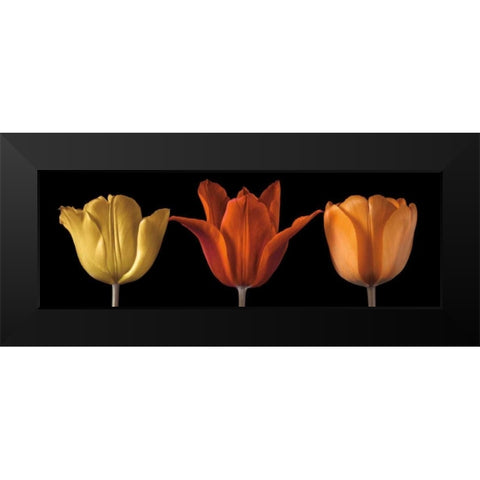 Sunshine Stance Black Modern Wood Framed Art Print by Frank, Assaf