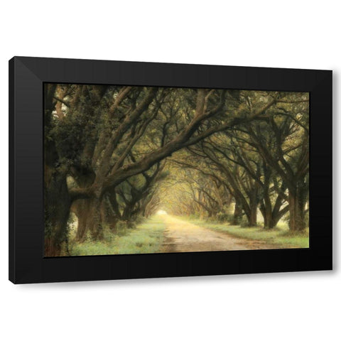 Evergreen Alley Black Modern Wood Framed Art Print by Guion, William