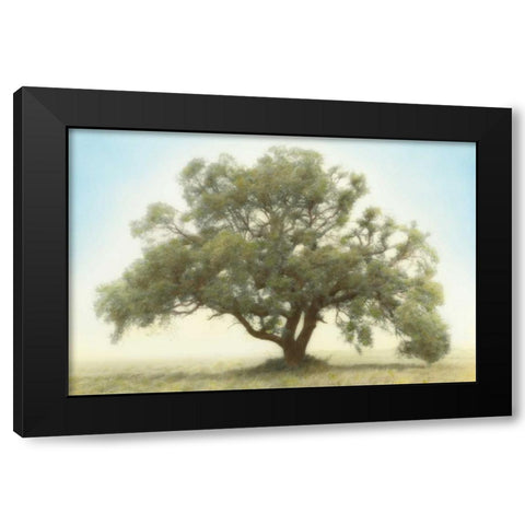 Oak and Blue Sky Black Modern Wood Framed Art Print with Double Matting by Guion, William