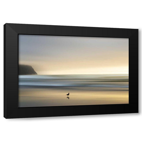 Morning Visit Black Modern Wood Framed Art Print with Double Matting by Pelkey, Marvin