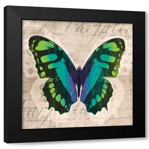 Butterflies II Black Modern Wood Framed Art Print by Venter, Tandi