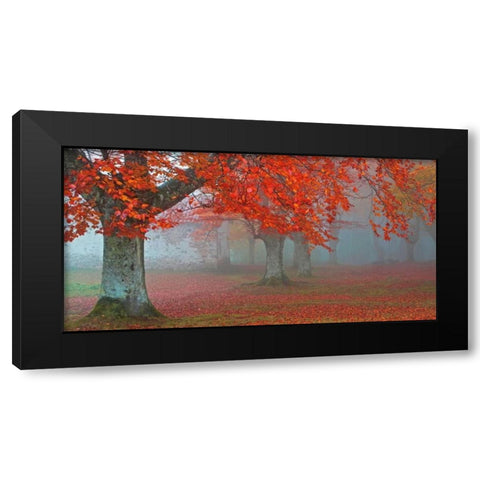 arboles Rojos Black Modern Wood Framed Art Print by Palacios, Juan Antonio