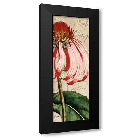 Jardin Botanique I Black Modern Wood Framed Art Print with Double Matting by Berg, Sabine