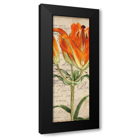 Jardin Botanique II Black Modern Wood Framed Art Print by Berg, Sabine