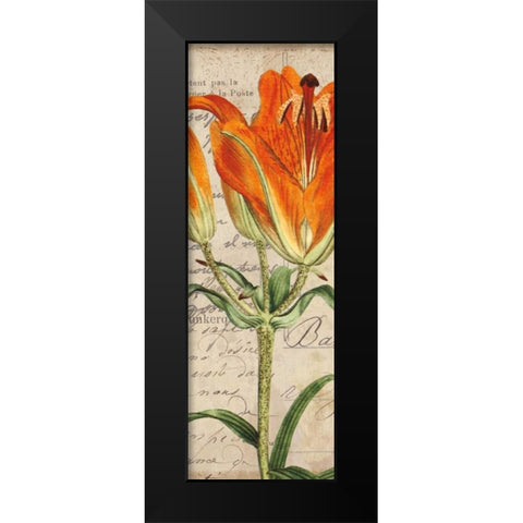 Jardin Botanique II Black Modern Wood Framed Art Print by Berg, Sabine