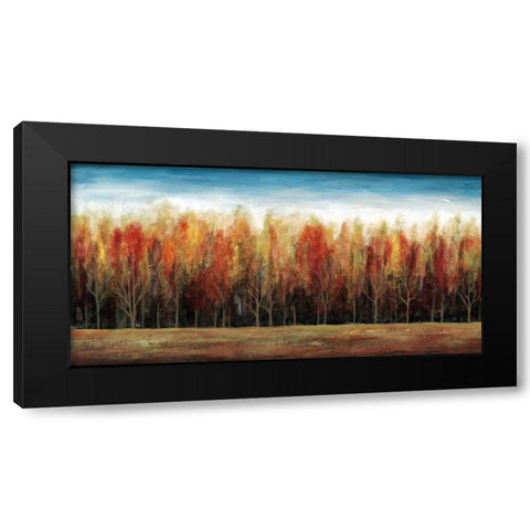 Deep Forest Black Modern Wood Framed Art Print by Fontaine, Stephane
