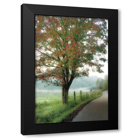 Almost Autumn Black Modern Wood Framed Art Print with Double Matting by Burt, D.