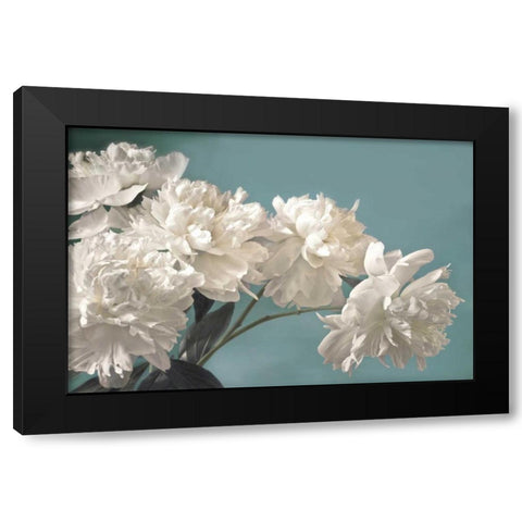 Snow White Black Modern Wood Framed Art Print by Frank, Assaf
