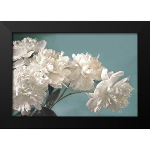 Snow White Black Modern Wood Framed Art Print by Frank, Assaf
