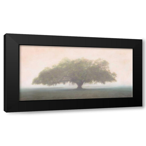 Oak in the Fog Black Modern Wood Framed Art Print with Double Matting by Guion, William