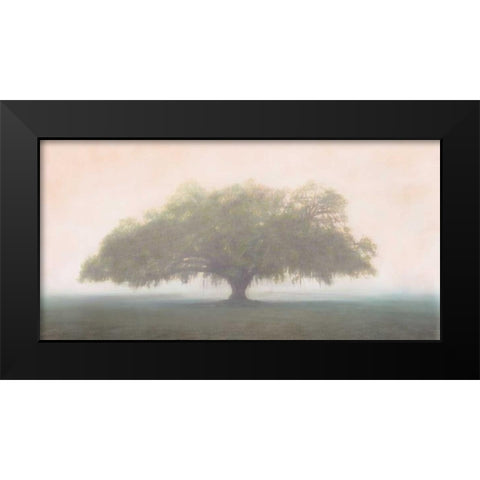 Oak in the Fog Black Modern Wood Framed Art Print by Guion, William