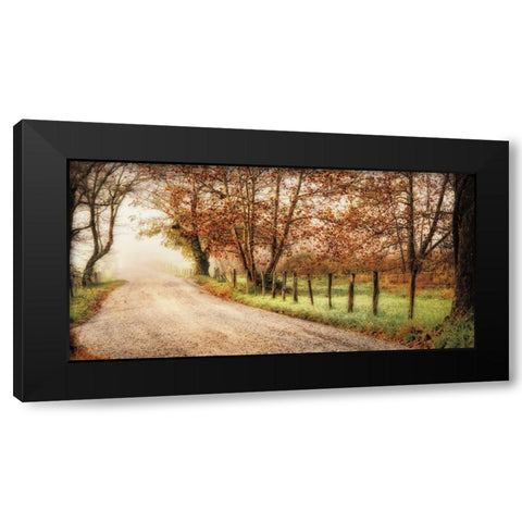 Fog Ahead Black Modern Wood Framed Art Print by Burt, D.