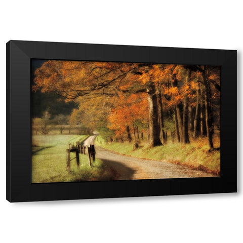 Autumns Morning Light Black Modern Wood Framed Art Print by Burt, D.