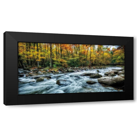 Painted Autumn Black Modern Wood Framed Art Print by Burt, D.