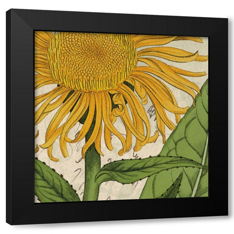 Joyful Bloom I Black Modern Wood Framed Art Print by Berg, Sabine